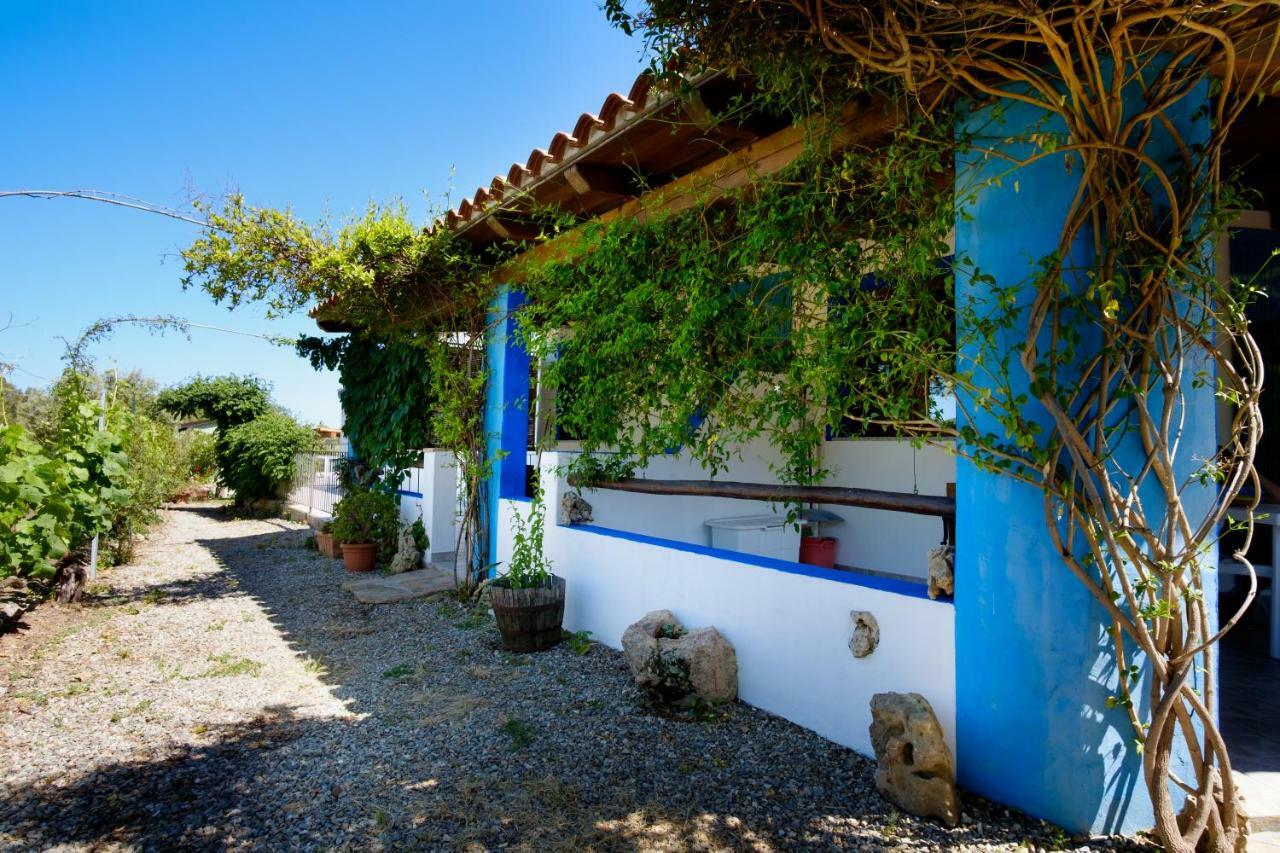 فيلا كارديدوفي Casa Museddu المظهر الخارجي الصورة